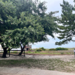 East Beach in Norfolk, Virginia