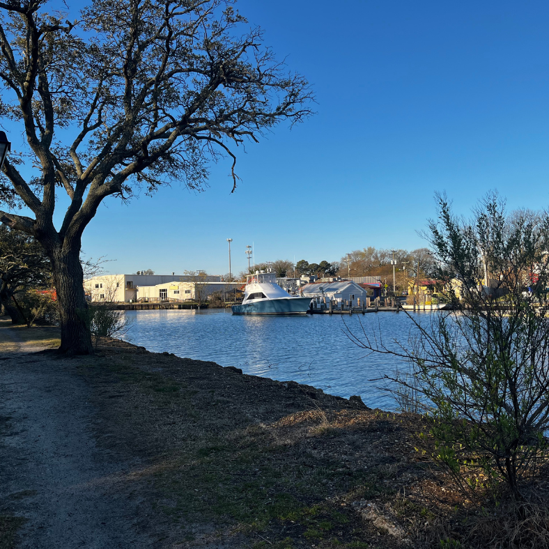 Colonial Place In Norfolk, VA